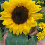 ヒメ日記 2025/06/01 13:24 投稿 はづき 奥鉄オクテツ東京店（デリヘル市場）