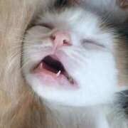 ヒメ日記 2025/06/15 12:11 投稿 はづき 奥鉄オクテツ東京店（デリヘル市場）