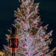 ヒメ日記 2025/11/28 19:56 投稿 はづき 奥鉄オクテツ東京店（デリヘル市場）