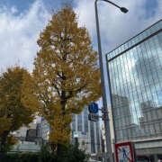 ヒメ日記 2025/12/03 09:34 投稿 はづき 奥鉄オクテツ東京店（デリヘル市場）