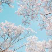 ヒメ日記 2026/03/08 18:42 投稿 はづき 奥鉄オクテツ東京店（デリヘル市場）