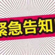 ヒメ日記 2023/11/16 10:30 投稿 ひな ももや