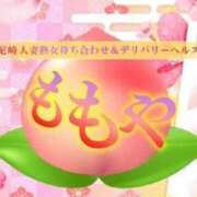 ヒメ日記 2023/12/20 10:50 投稿 かな ももや