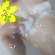 ヒメ日記 2026/03/30 16:30 投稿 御木本　せあら エテルナ京都