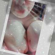 ヒメ日記 2026/03/31 15:16 投稿 御木本　せあら エテルナ京都