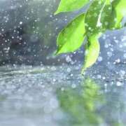 御木本　せあら お疲れさまです☂️ エテルナ京都