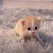 ヒメ日記 2025/05/09 10:41 投稿 平野ひろみ 大阪ぽっちゃり妻