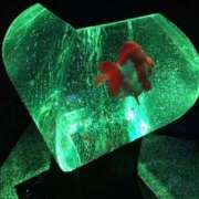 ヒメ日記 2025/07/12 09:36 投稿 平野ひろみ 大阪ぽっちゃり妻