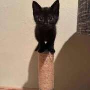 ヒメ日記 2025/10/29 14:19 投稿 平野ひろみ 大阪ぽっちゃり妻