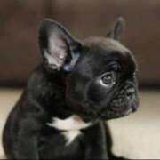 ヒメ日記 2025/11/11 00:16 投稿 平野ひろみ 大阪ぽっちゃり妻