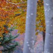 平野ひろみ 年末 スケジュール🗓です 大阪ぽっちゃり妻