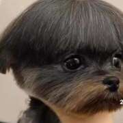 ヒメ日記 2026/01/12 19:45 投稿 平野ひろみ 大阪ぽっちゃり妻