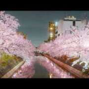 ヒメ日記 2026/04/10 16:57 投稿 平野ひろみ 大阪ぽっちゃり妻