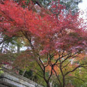 ばなな ありがとう😊 奥鉄オクテツ東京店（デリヘル市場）