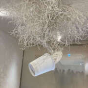 ヒメ日記 2026/04/23 11:21 投稿 ばなな 奥鉄オクテツ東京店（デリヘル市場）