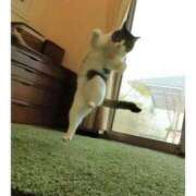 ヒメ日記 2025/12/29 11:12 投稿 ゆうこ 完熟ピーチ