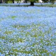 ヒメ日記 2025/04/27 15:19 投稿 みりあ ミルキーラテ