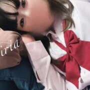 ヒメ日記 2024/12/31 18:04 投稿 いりあ みつらん鉄道