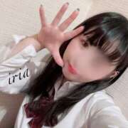 ヒメ日記 2025/04/28 15:07 投稿 いりあ みつらん鉄道