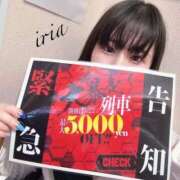 ヒメ日記 2025/05/21 18:09 投稿 いりあ みつらん鉄道