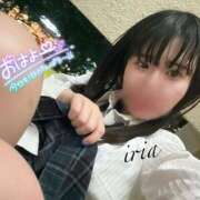 ヒメ日記 2025/06/01 07:54 投稿 いりあ みつらん鉄道