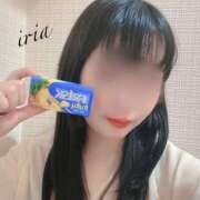 ヒメ日記 2025/08/19 21:44 投稿 いりあ みつらん鉄道