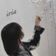 ヒメ日記 2025/11/11 15:04 投稿 いりあ みつらん鉄道