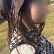 ヒメ日記 2025/12/21 20:40 投稿 いりあ みつらん鉄道