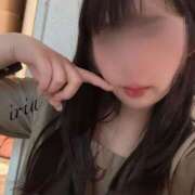 ヒメ日記 2025/12/23 15:15 投稿 いりあ みつらん鉄道