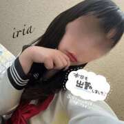 ヒメ日記 2026/02/12 17:14 投稿 いりあ みつらん鉄道