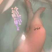 ヒメ日記 2026/02/12 21:47 投稿 いりあ みつらん鉄道