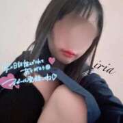 ヒメ日記 2026/02/19 12:44 投稿 いりあ みつらん鉄道