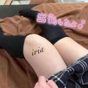 ヒメ日記 2026/03/15 17:20 投稿 いりあ みつらん鉄道