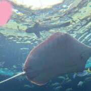 ヒメ日記 2025/06/16 20:46 投稿 スズナ【FG系列】 デリぽちゃin松戸（FG系列）