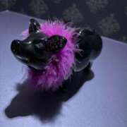 ヒメ日記 2025/03/10 20:03 投稿 ゆず 山梨デリヘル 人妻物語 ～極～