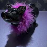 ヒメ日記 2025/04/10 11:35 投稿 ゆず 山梨デリヘル 人妻物語 ～極～