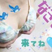 ヒメ日記 2025/07/29 08:40 投稿 渚心 五十路マダムエクスプレス船橋店(カサブランカグループ)