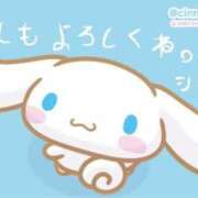 ヒメ日記 2025/01/02 12:06 投稿 みみ 熊本グラマーグラマー