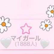 ヒメ日記 2025/11/08 21:16 投稿 みみ 熊本グラマーグラマー