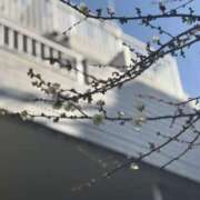 ヒメ日記 2026/02/06 10:38 投稿 かすみ 熟女デリヘル秘宝館Z