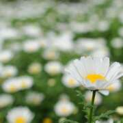 ヒメ日記 2025/01/11 09:06 投稿 川上あいり 五十路マダム 愛されたい熟女たち 高松店