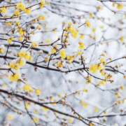 ヒメ日記 2025/01/28 12:04 投稿 川上あいり 五十路マダム 愛されたい熟女たち 高松店