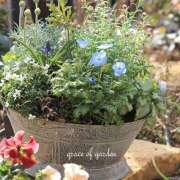 ヒメ日記 2025/02/16 07:50 投稿 川上あいり 五十路マダム 愛されたい熟女たち 高松店