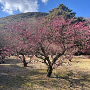 ヒメ日記 2025/02/27 19:38 投稿 川上あいり 五十路マダム 愛されたい熟女たち 高松店