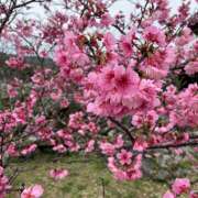 ヒメ日記 2025/03/08 21:54 投稿 川上あいり 五十路マダム 愛されたい熟女たち 高松店