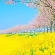 ヒメ日記 2025/03/22 07:06 投稿 川上あいり 五十路マダム 愛されたい熟女たち 高松店