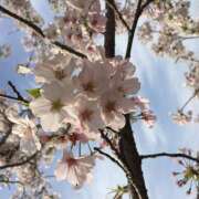 ヒメ日記 2025/03/28 21:50 投稿 川上あいり 五十路マダム 愛されたい熟女たち 高松店