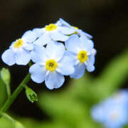 ヒメ日記 2025/03/30 09:58 投稿 川上あいり 五十路マダム 愛されたい熟女たち 高松店
