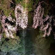 ヒメ日記 2025/03/31 16:52 投稿 川上あいり 五十路マダム 愛されたい熟女たち 高松店