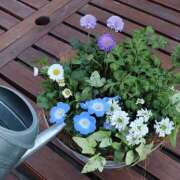 ヒメ日記 2025/04/05 16:28 投稿 川上あいり 五十路マダム 愛されたい熟女たち 高松店